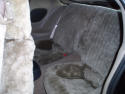 Pontiac Trans Am Sheepskin Seat Covers